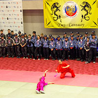 Первенство России по ушу саньда, г. С-Петербург, 2008г.